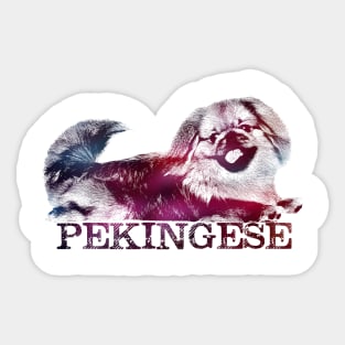 Pekingese Sticker